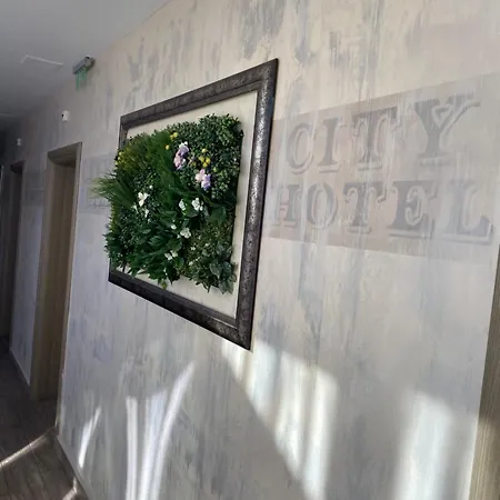 City Hotel ホテル 2*