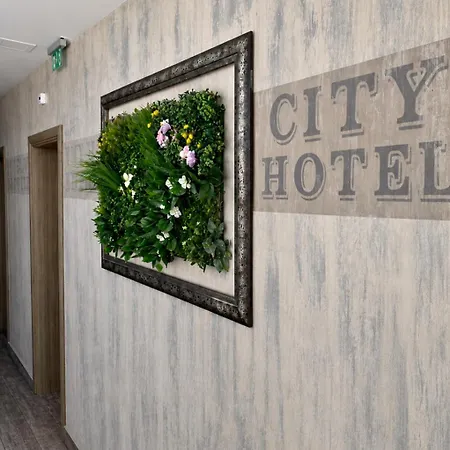 City Hotel מלון 2*